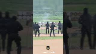 Commando Advanced Course Drill Show  Commando Regiment fyp viral shortsfeed short shortvideo [upl. by Krefetz243]