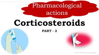 Corticosteroids Part 2  Pharmacological actions  Glucocorticoids  Mineralocorticoids  Permissive [upl. by Eintrok]