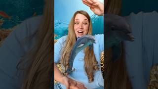 Ocean Animals 🐬 Opposites Song kidssongs kidslearning [upl. by Lauryn997]