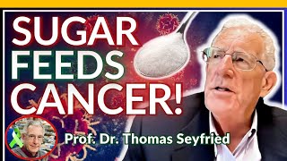 Prof Thomas Seyfried Full Interview  How KETO DIET Works in CANCER [upl. by Anitroc]