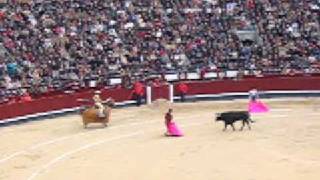 Spanish Bullfight  Corrida in Madrid [upl. by Leohcin]