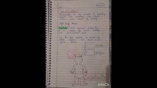 Socialization processmotivationcdpeducationpsychologyctetcdpstudentstudytipsshorts [upl. by Ecadnarb448]