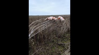 THREE Russian Su34 Shot Down in One Day Likely a Patriot Ambush [upl. by Corvin]