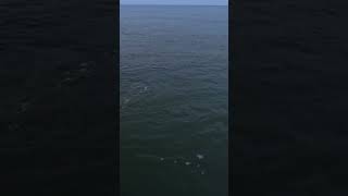 Ultimate Galveston North Jetty Fishing Trip speckledtroutfishing galvestonfishing redfish [upl. by Mohammed157]