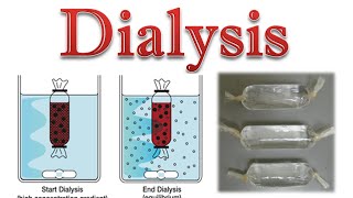 Protein purification  protein dialysis [upl. by Namzaj]