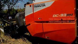 🇵🇭 DC93 Kubota Combine Harvester LATEST Model  Demonstration on 🌾Rice Field  93 Horsepower Turbo [upl. by Rika]