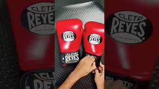 Cleto Reyes  Boxing Gloves  14oz  Extra Padding [upl. by Noella]