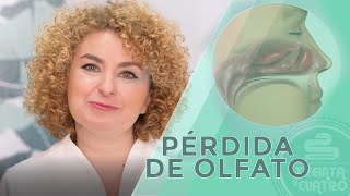 La Anosmia ó perdida del olfato [upl. by Boot]