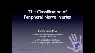 The Classification of Peripheral Nerve Injuries [upl. by Clite]