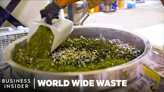 Meet 8 Young Founders Turning Trash Into Cash  World Wide Waste  Insider Business [upl. by Nett]