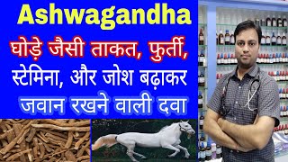 ashwagandha ke fayde withania somnifera ashwagandha benefits in hindi ashwagandha q ashwagandha [upl. by Aurelie150]