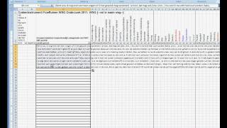 Deel 1TranscriptieNaarExcelavi [upl. by Esineg645]