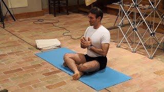 Iyengar Yoga Demonstration [upl. by Nnayllas]