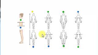 Directional terms quiz [upl. by Novanod]