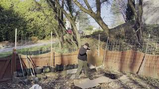 Adding a couple of in ground beds to the garden Part 2 [upl. by Brabazon]