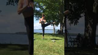 Exercise How To Curtsy Lunge with Kick [upl. by Anerehs]