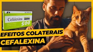 Cefalexina Para Gatos  Uso e Efeitos Colaterais [upl. by Eugenides]