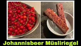 Johannisbeeren Müsliriegel Rezept  Johannisbeerriegel selber machen  Selbstversorgung Trester [upl. by Roselba11]