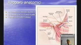 Circolo arterioso e venoso arti superiori [upl. by Sinnal89]