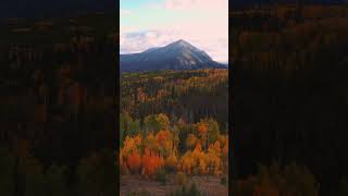 fallfoliage in Silverthorne Colorado shorts [upl. by Durrace2]