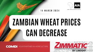 Zambian wheat prices can decrease  14 March 2024  Agri Intelligence Africa [upl. by Salomi]