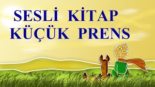 KÜÇÜK PRENS SESLİ KİTAP  TÜM BÖLÜMLER [upl. by Anselmo]