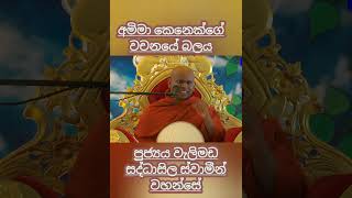 අම්මා කෙනෙකුගේ වචනයේ බලය Ven Welimada Saddhaseela thero [upl. by Grenville]