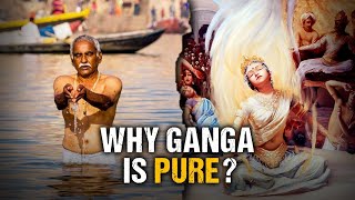 Science Proved that Ganga is Pure  Untold Secrets of Ganga [upl. by Edgell]