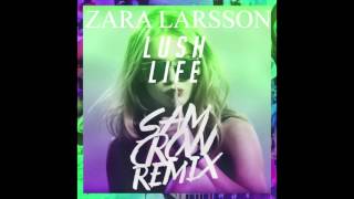 Zara Larsson  Lush Life Sam Crow Remix Audio [upl. by Eynenihc]