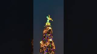 Disney’s Epcot  Epcot Christmas Tree Beautiful epcot christmas christmastree [upl. by Ephrem630]