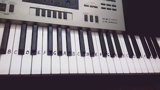 Sajna hai mujhe sajna ke liye on Keyboard Piano Remix Easy Tutorial for Beginners [upl. by Ahsikyt]