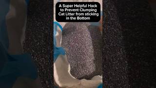 Super Helpful Hack For Clumping Cat Litter 🐾😺🐾 catlitter hacks cats [upl. by Adnaloj836]