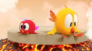 Wheres Chicky Funny Chicky 2023  Chickys adventures  Cartoon in English for Kids  New episodes [upl. by Phelgon]