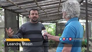 Leandro Masin Agrónomo del vivero municipal de Villa Ocampo [upl. by Ryle775]