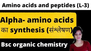 L3 alpha amino acid synthesis amino acid method of preparation bsc 3rd year organic chemistry [upl. by Laflam]