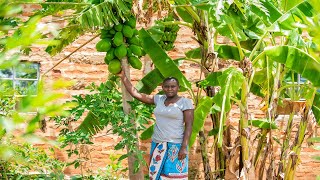 Agroecology Farming in Kitui  Carols Story [upl. by Placida]