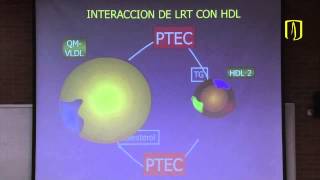 Metabolismo de lípidos  Bioquímica médica [upl. by Nadabus986]