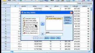 Oneway ANOVA  SPSS part 1 [upl. by Zsa]