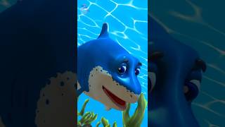 Baby Shark Song shorts nurseryrhymes cartoonvideos kidsmusic [upl. by Ivor570]