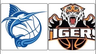 BLOL UAAP NCAA THEME Game Results For S18W7073024 FTK basketballleagueoflegends TIGERS v MARLINS [upl. by Ahsimac]