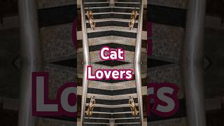 Tha cat loveryoutube cutecat kitten billionaire manmarzi1012 cat song music [upl. by Cher]