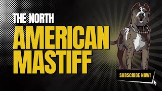 The North American Mastiff [upl. by Arol]