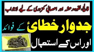 Jadwar khatai ke fawaid ur us ke istemal By Hakeem Zia Shahid [upl. by Yordan]