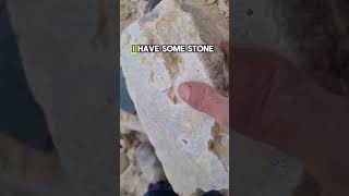 Limestone fossils amp Stone dressing stone limestone fossil [upl. by Aidyl833]