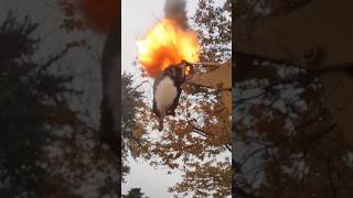 GIANT Bald Faced Hornets Nest Vs Black Powder Cannon strapped to Backhoe [upl. by Ive27]