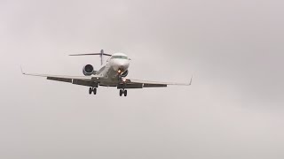 St Louis airport crews and passengers brace for wintry weather [upl. by Faythe]