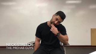 3 Neck Stretches Levator Scapulae Upper Trapezius and Scalenesquot [upl. by Yekim]