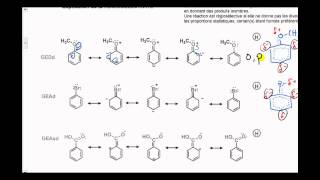 52 Chimie organique  Substitution électrophile aromatique 2  Réactivité et régiosélectivité [upl. by Florenza]