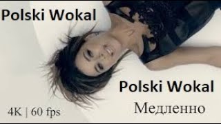 Ani Lorak  Медленно Polski Wokal [upl. by Aigneis]