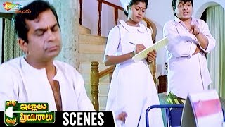 Brahmanandam amp AVS Best Comedy  Intlo Illalu Vantintlo Priyuralu Telugu Movie  Venkatesh [upl. by Adnoved]